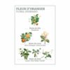 PANIER DES SENS Orange Blossom Eau De Toilette - Image 2