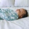 aden + anais  Dancing Tigers 4 pack swaddle. - Image 3