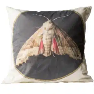Moth Cushion Cover *organic Cotton