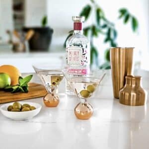 Clino Stemless Martini Glass