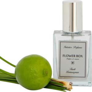 Fresh Lemongrass – Interior Perfume