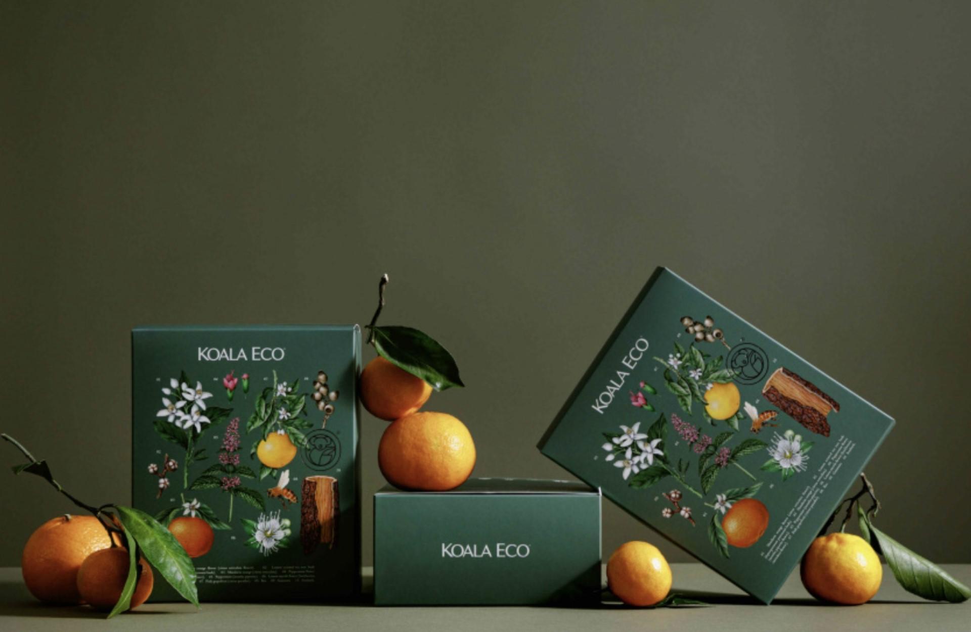 Koala Eco Box and Orange Fruits