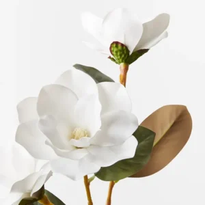 Magnolia Spray – White
