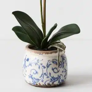 Orchid Phalaenopsis In Scarla Pot  – White – 42cm