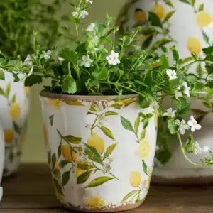 Botanical Lemon Pot Small