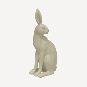 Harold The Hare Turning White