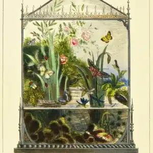 Scented Sachet Vivarium – Lavender