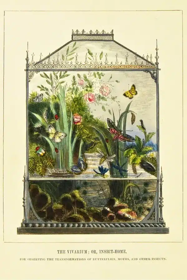 Scented Sachet Vivarium - Lavender - Image 2
