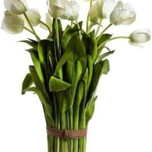 Tulip Bundle 72cm White