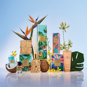 Balmy Breeze  Palo Santo & Fresh Coconut 250ml Fragrance Diffuser