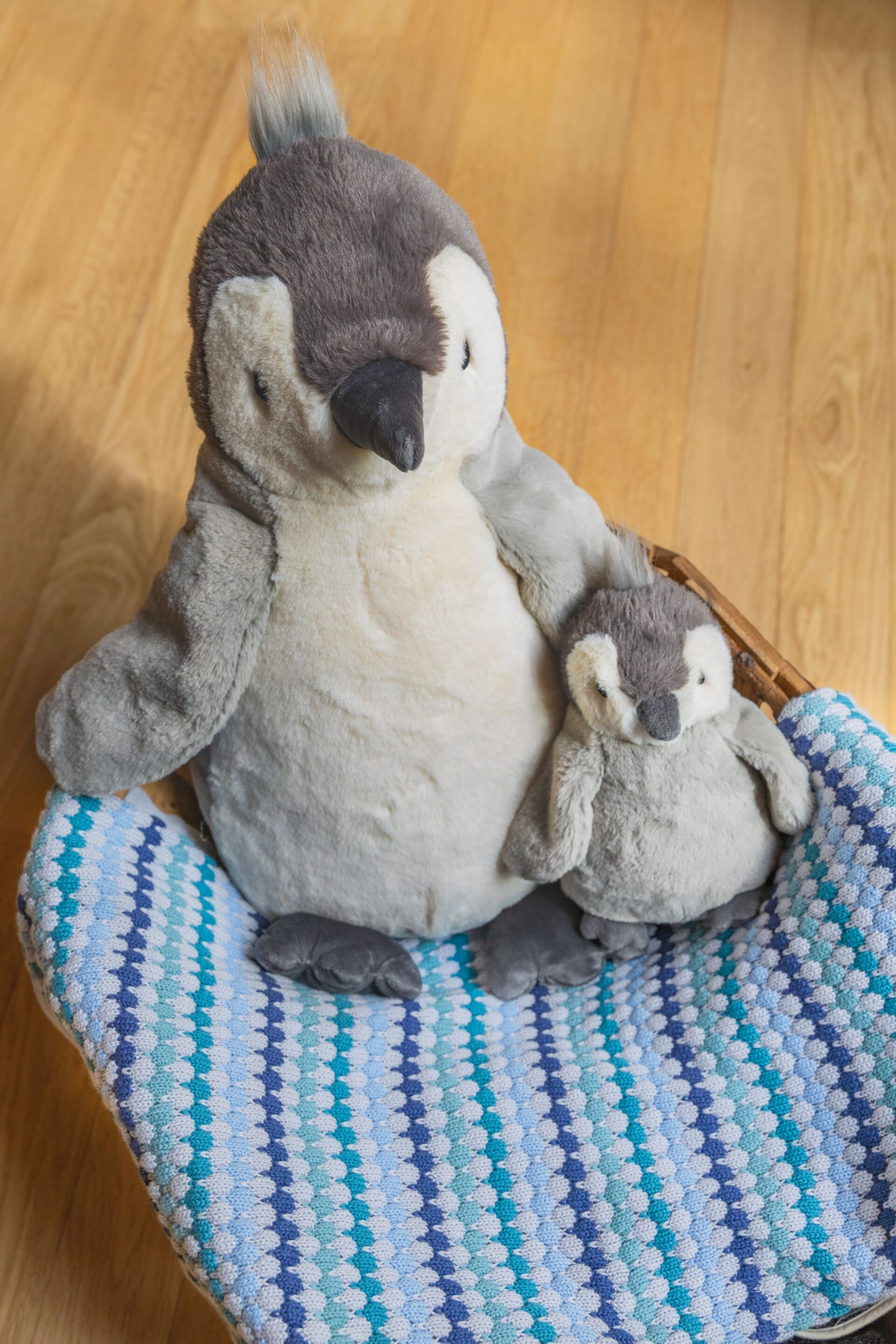 Big Paulo the Penguin - Image 6