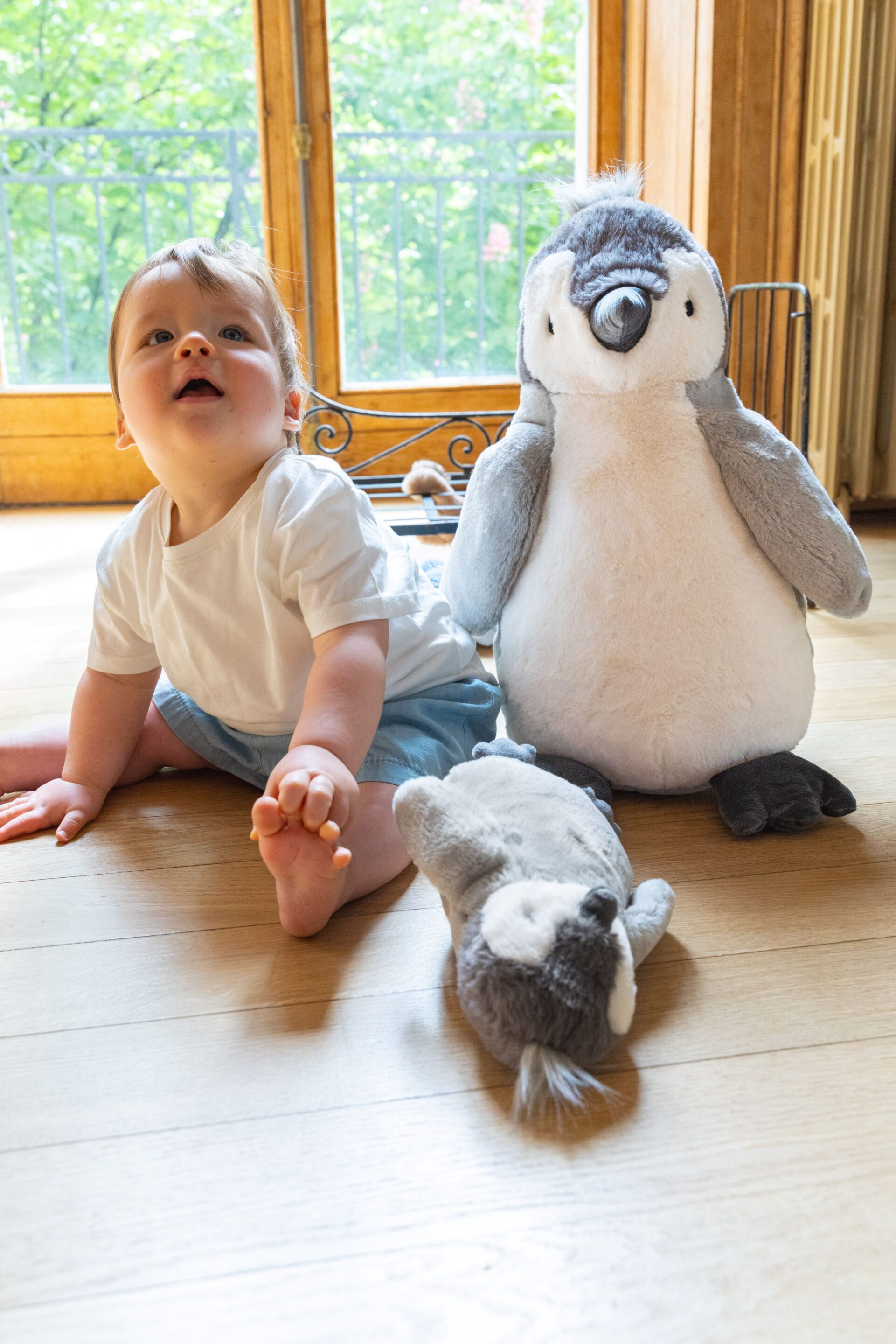 Big Paulo the Penguin - Image 8