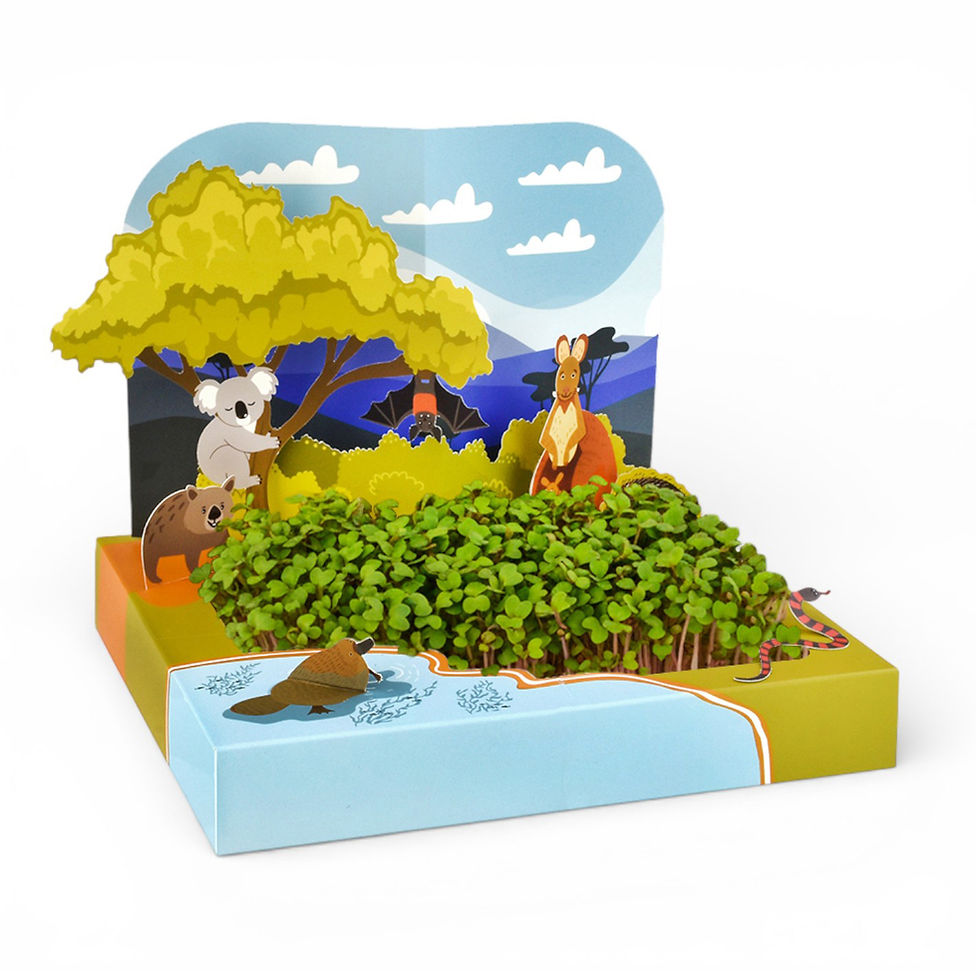 POP-UP BILLABONG MICROGREENS GROWING KIT . - Image 2