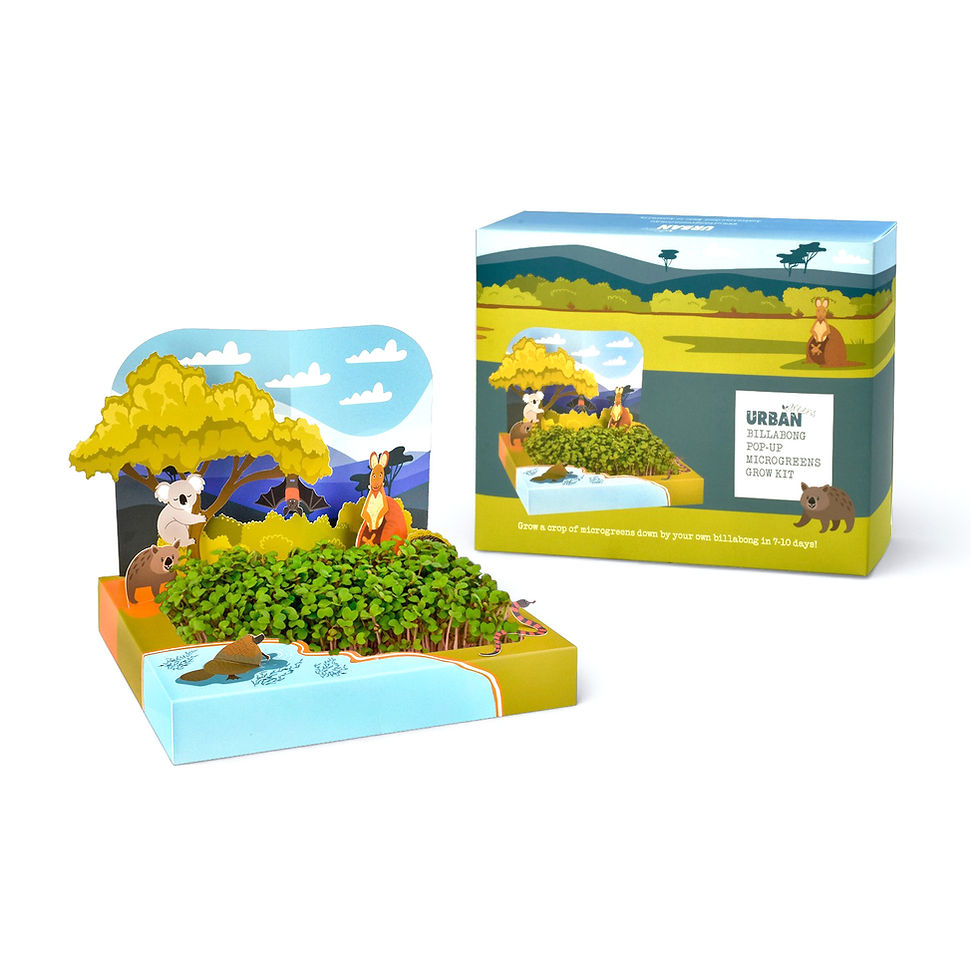 POP-UP BILLABONG MICROGREENS GROWING KIT . - Image 4