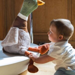 Big Hugo The Mallard Duck