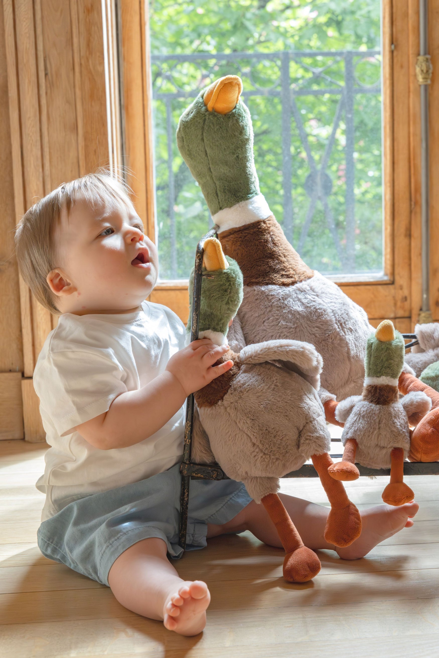 Big Hugo the Mallard Duck - Image 4