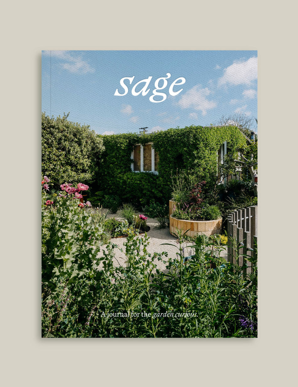 Sage Vol. 2: Our Creative Nature