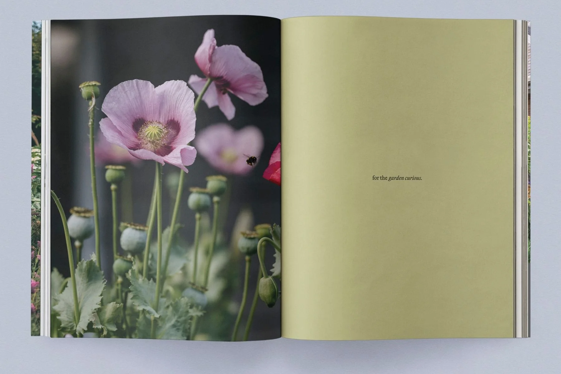Sage Vol. 2: Our Creative Nature - Image 2