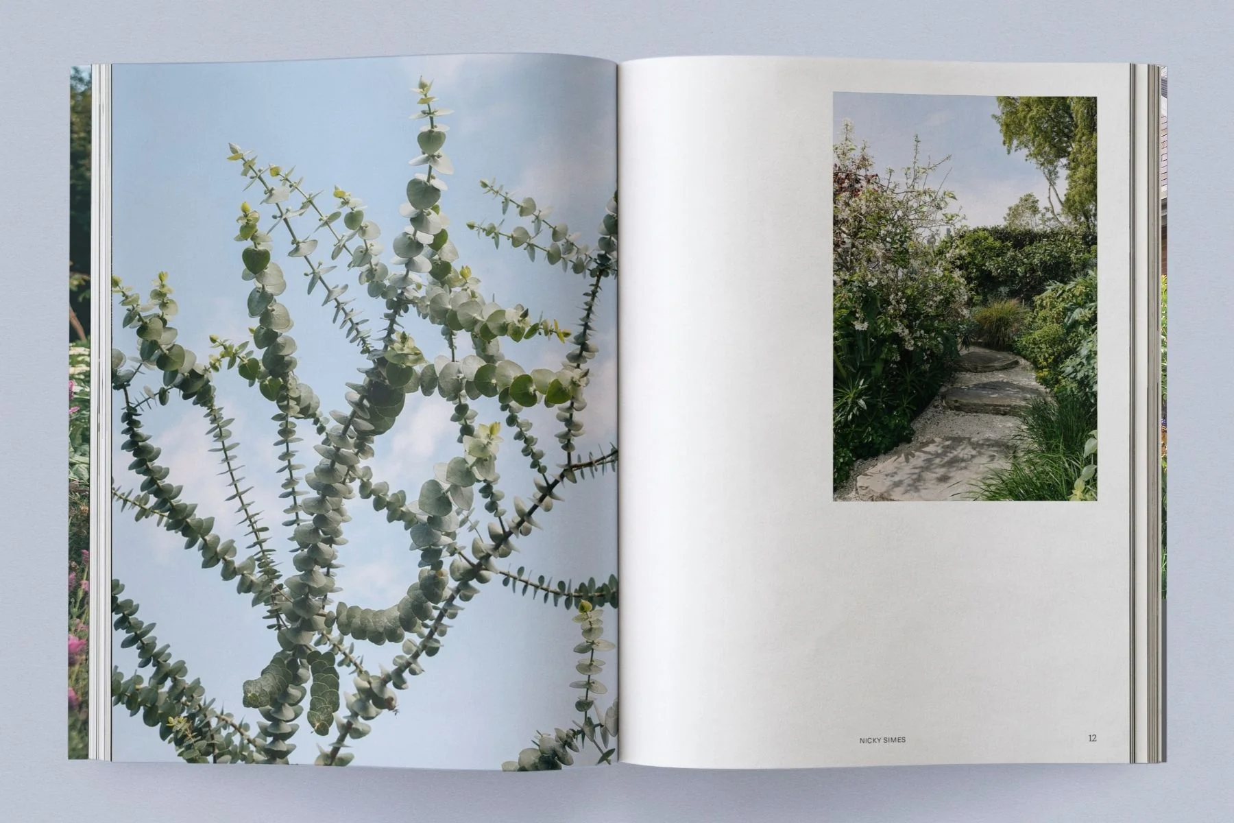 Sage Vol. 2: Our Creative Nature - Image 4
