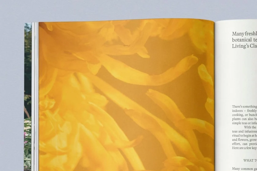 Sage Vol. 2: Our Creative Nature - Image 7