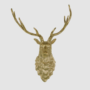 Wall Mounted Deer Head ( Only Delivery Alice Springs )